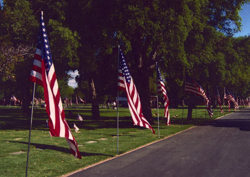 Acacia Flags